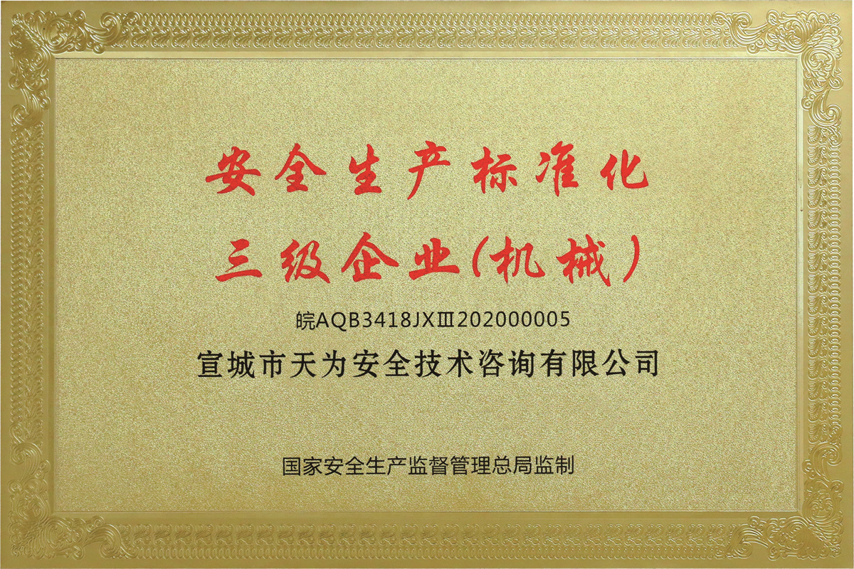 安全生產(chǎn)標(biāo)準(zhǔn)化三級(jí)企業(yè)